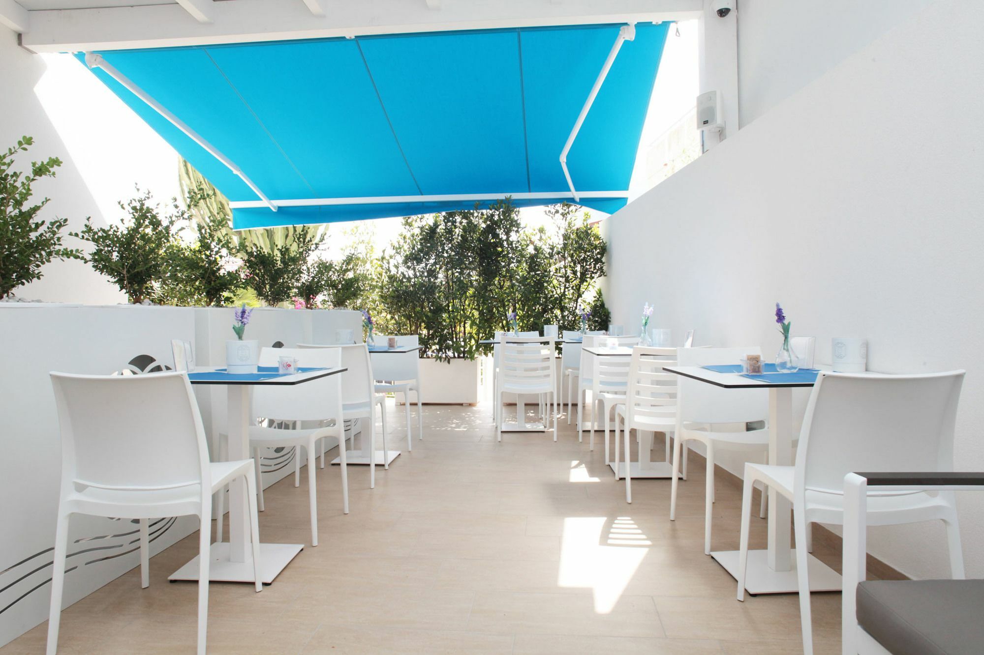 Rivazzurra Design Rooms San Vito Lo Capo Exteriör bild