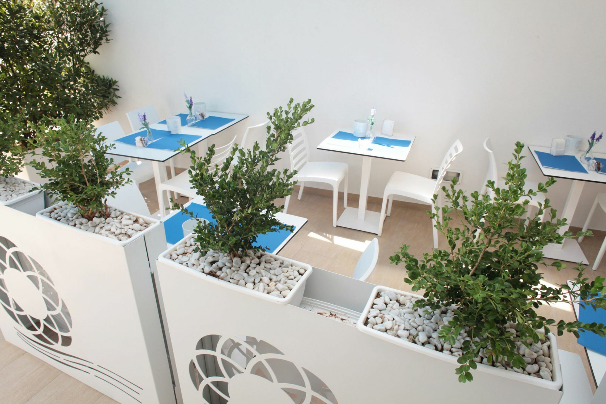 Rivazzurra Design Rooms San Vito Lo Capo Exteriör bild