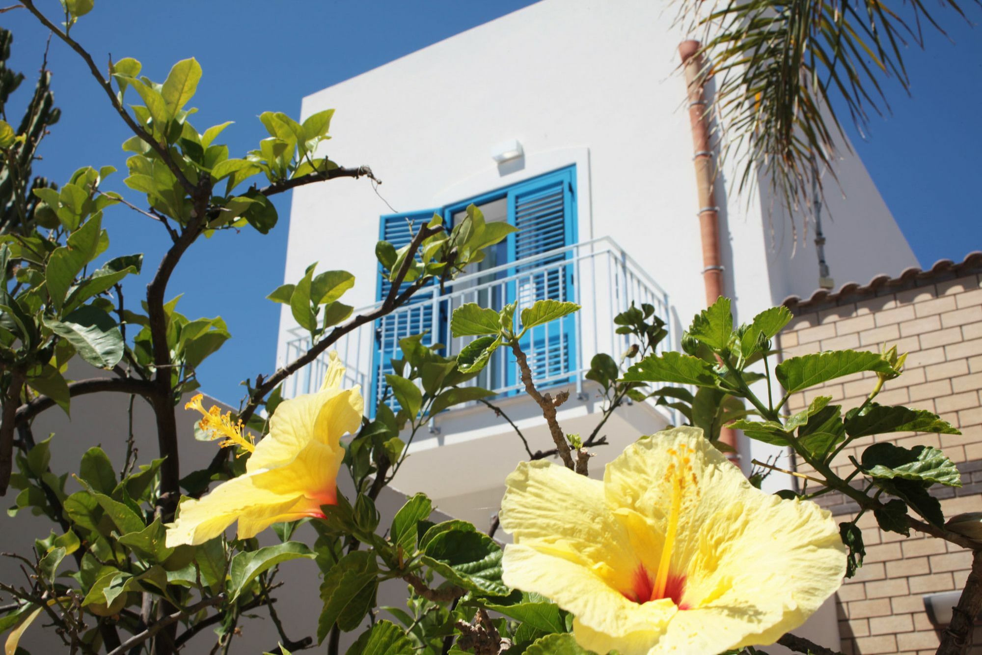 Rivazzurra Design Rooms San Vito Lo Capo Exteriör bild